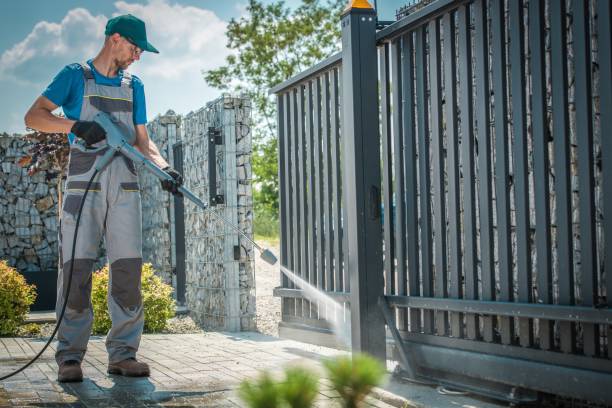 Best Roof Cleaning and Mildew Removal in Henderson, LA